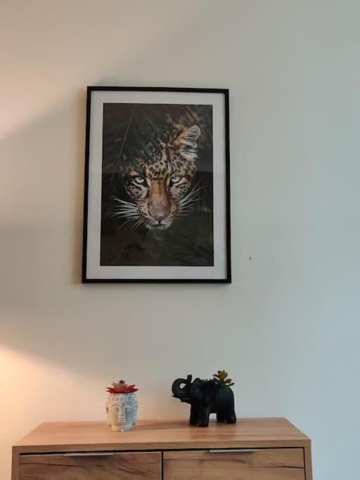 La Jungle Urbaine Avec Garage Prive & Climatisation Apartment Perpignan Ngoại thất bức ảnh