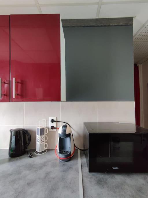 La Jungle Urbaine Avec Garage Prive & Climatisation Apartment Perpignan Ngoại thất bức ảnh