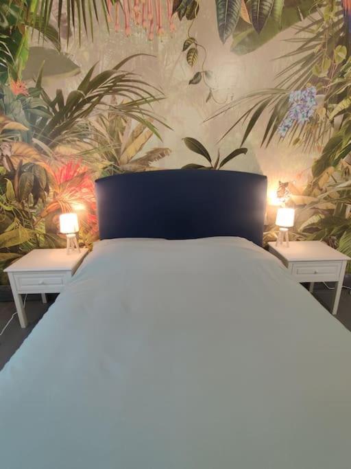 La Jungle Urbaine Avec Garage Prive & Climatisation Apartment Perpignan Ngoại thất bức ảnh