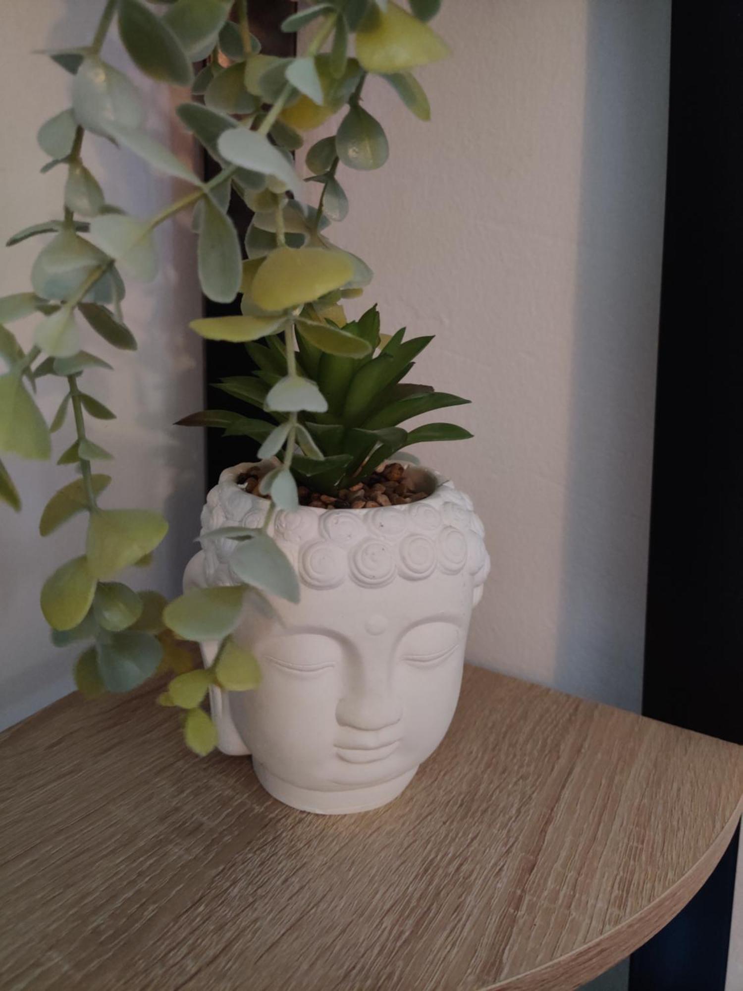 La Jungle Urbaine Avec Garage Prive & Climatisation Apartment Perpignan Ngoại thất bức ảnh