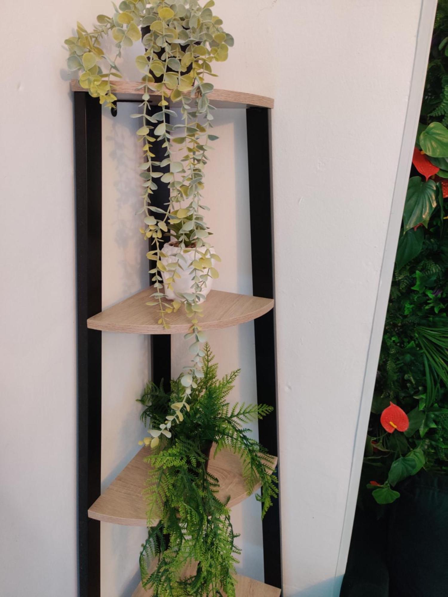 La Jungle Urbaine Avec Garage Prive & Climatisation Apartment Perpignan Ngoại thất bức ảnh
