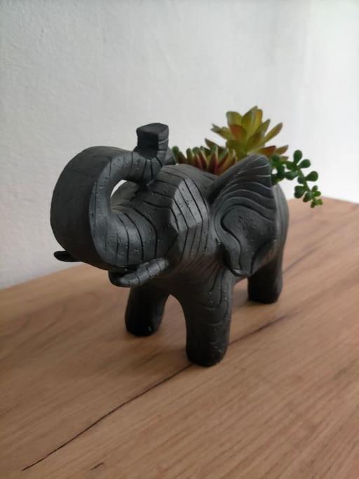 La Jungle Urbaine Avec Garage Prive & Climatisation Apartment Perpignan Ngoại thất bức ảnh