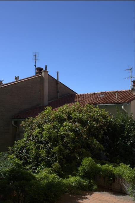 La Jungle Urbaine Avec Garage Prive & Climatisation Apartment Perpignan Ngoại thất bức ảnh